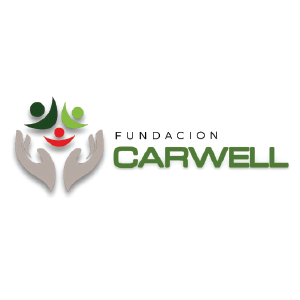 carwell foundation 300